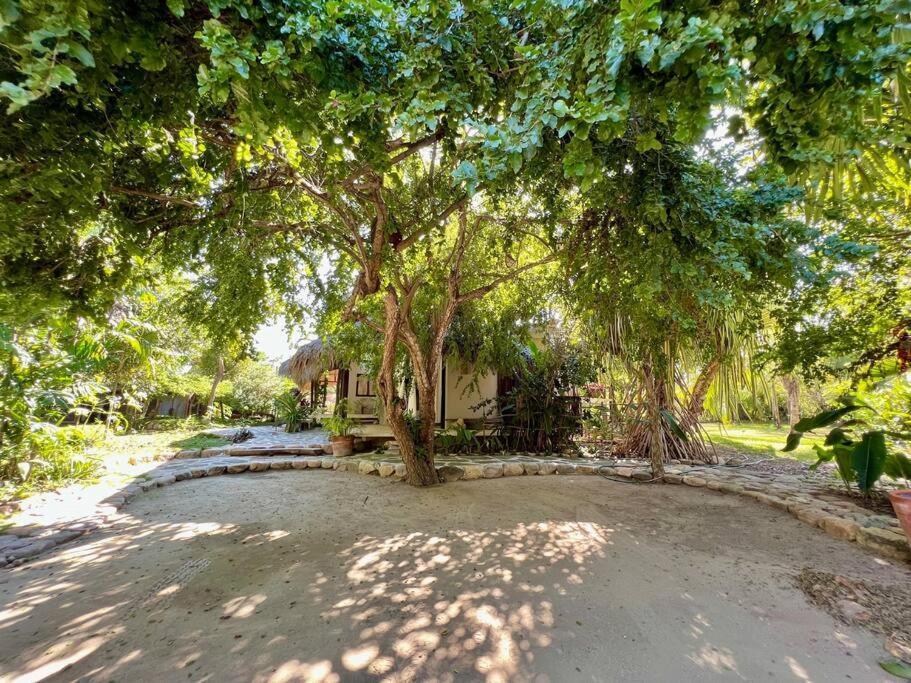 Casa Kuul, Elegant Fusion Of House And Garden. Villa Puerto Escondido  Exterior foto
