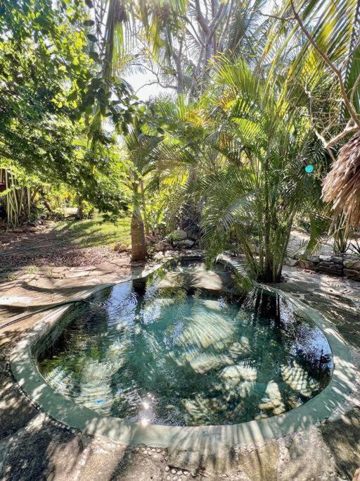 Casa Kuul, Elegant Fusion Of House And Garden. Villa Puerto Escondido  Exterior foto